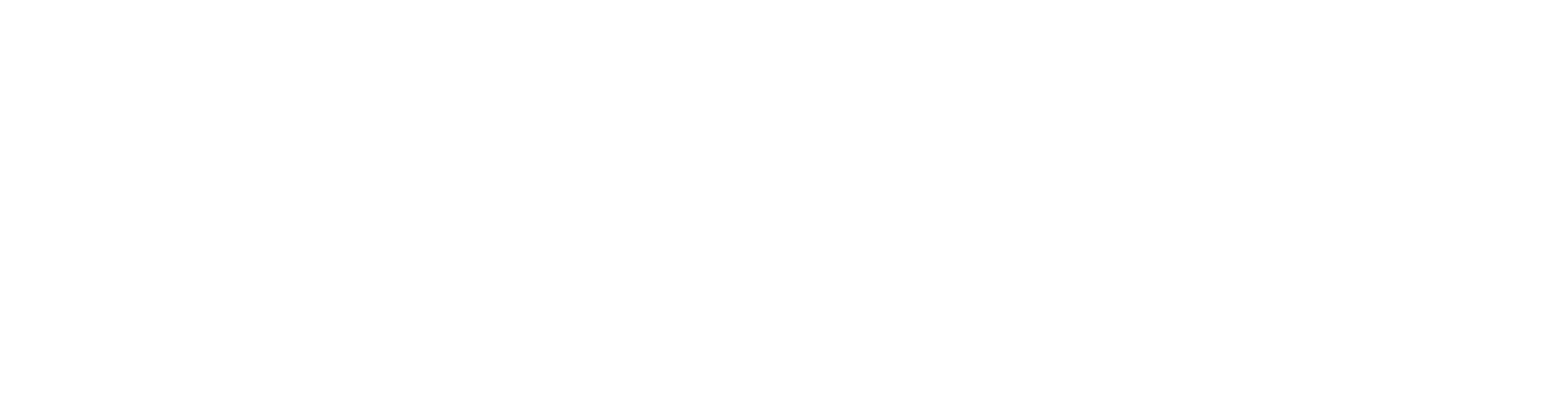 DOKOYO logo