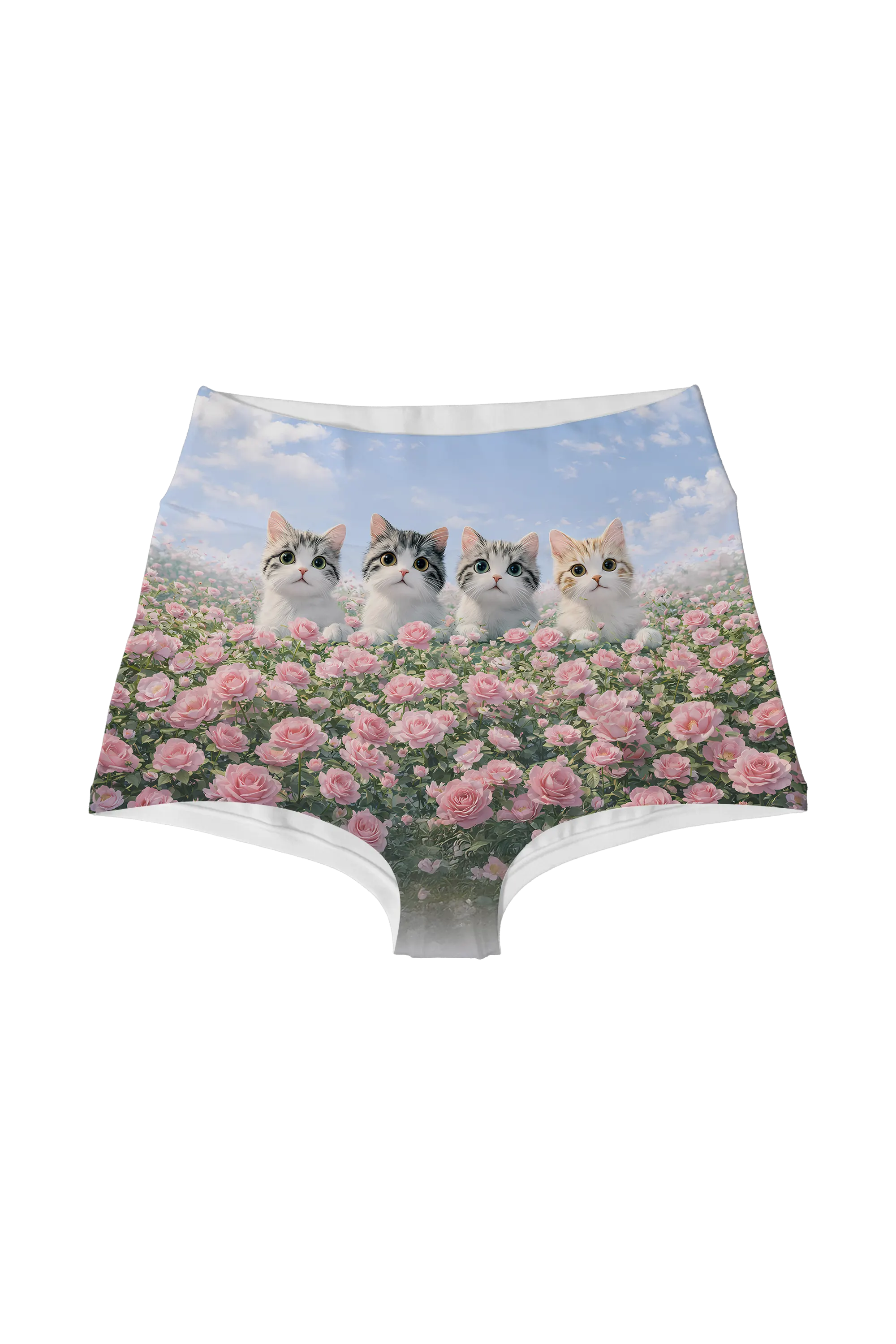 Rose Sky Kittens highwaist, front view