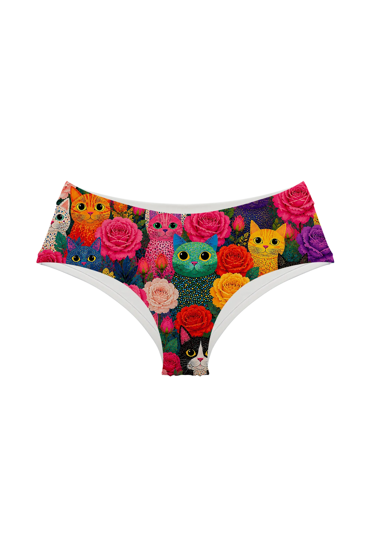 Rainbow Cats and Roses hipster panty, front view