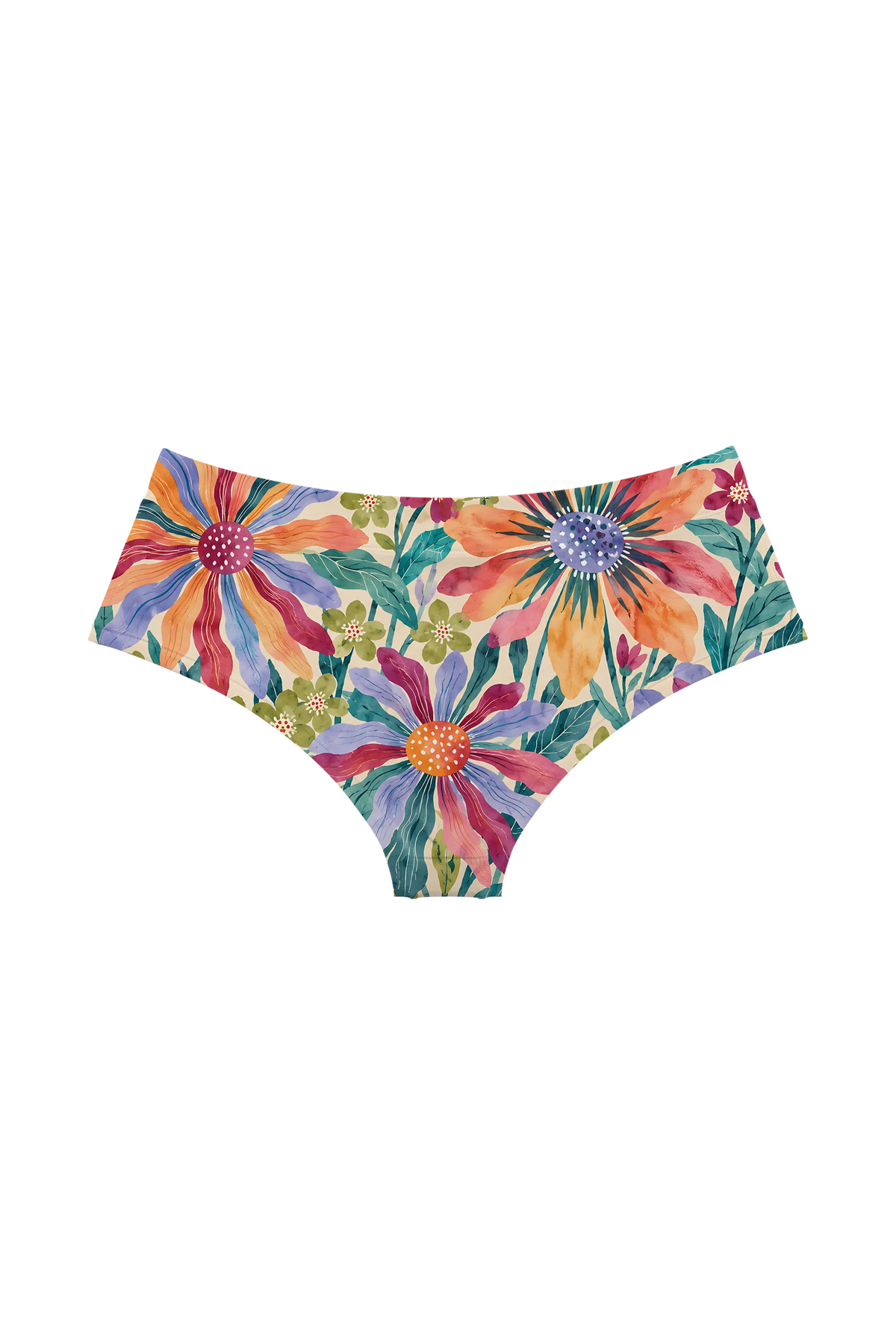 Painted Rainbow Daisies hipster, back view