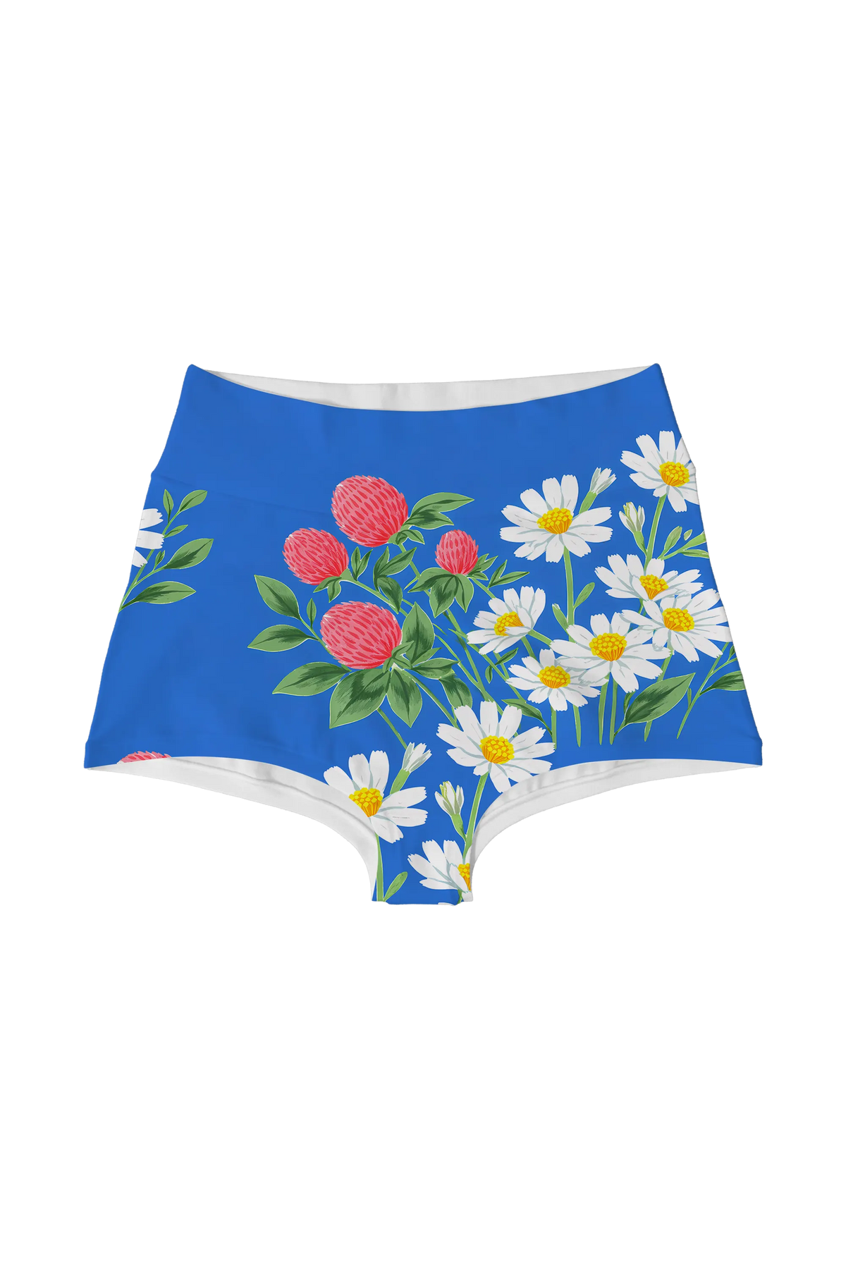 Daisy and Clover highwaist, front view