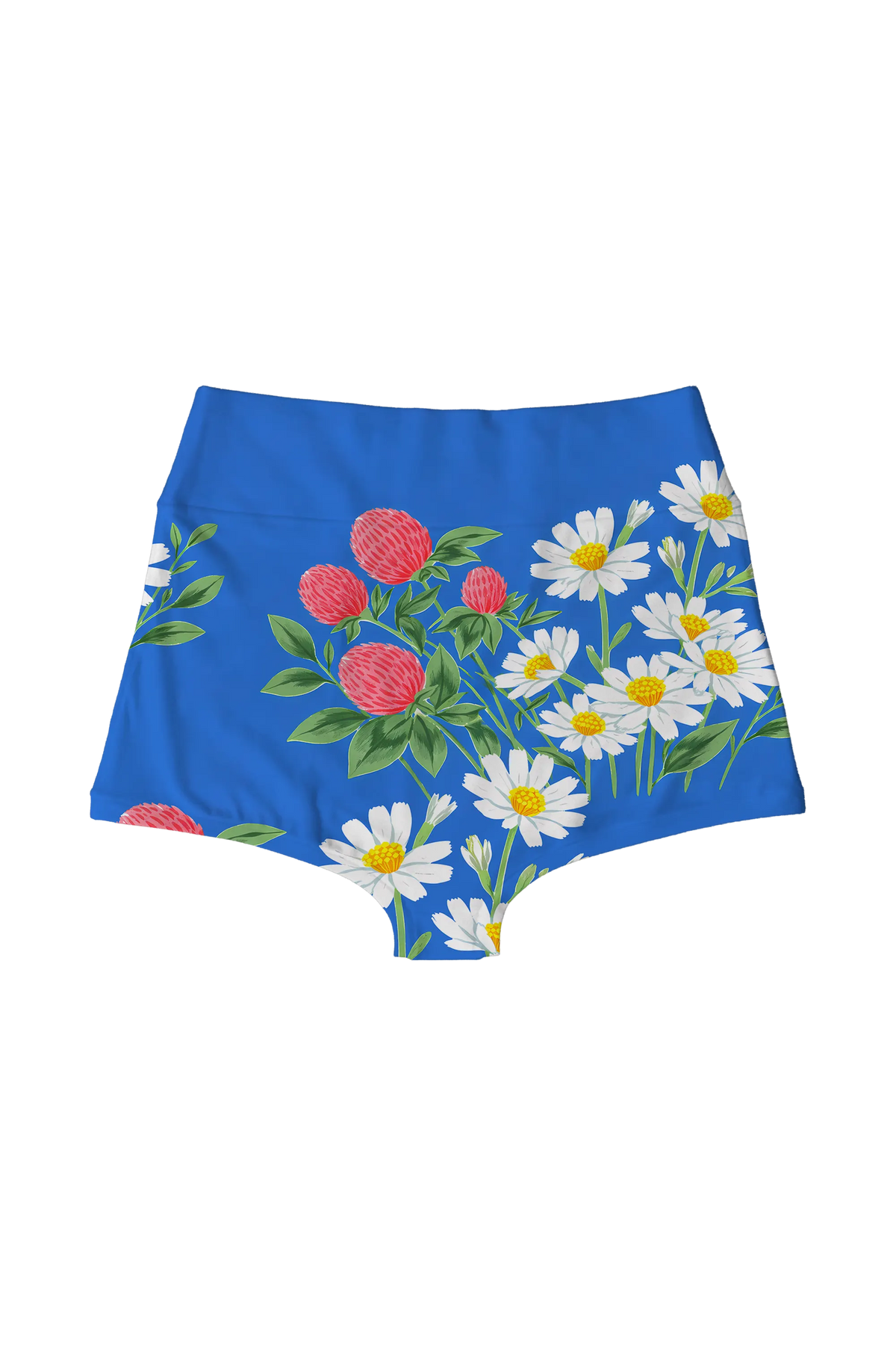 Daisy and Clover highwaist, back view