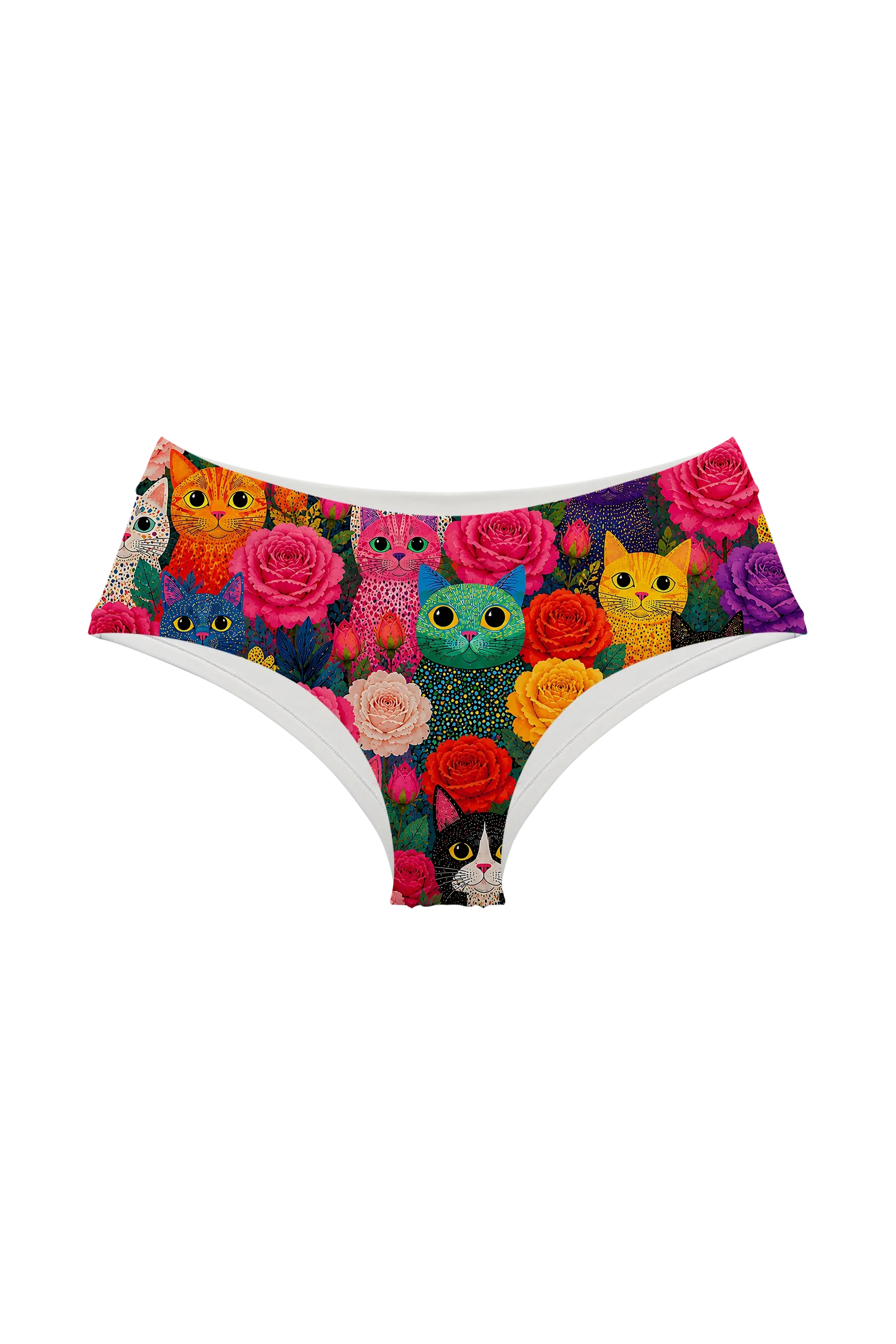 Rainbow Cats and Roses hipster panty, front view