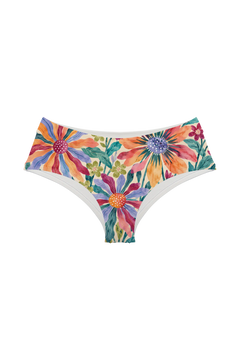 Hipster - Painted Rainbow Daisies