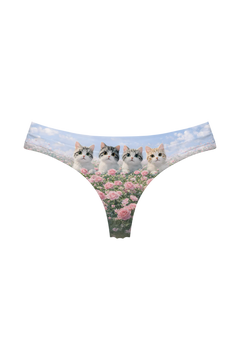 Thong - Rose Sky Kittens